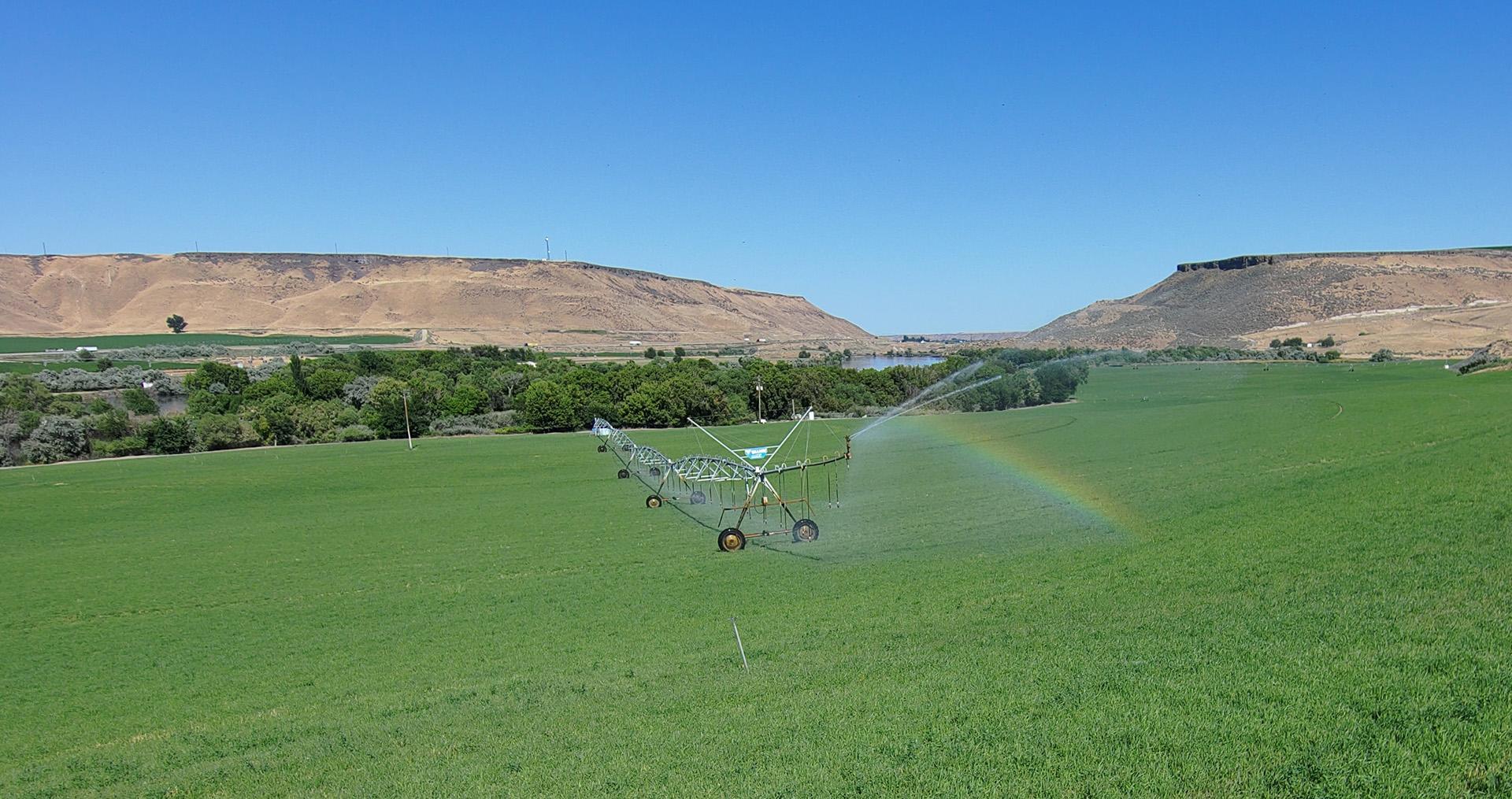 能源-efficient drip irrigation in a farm field